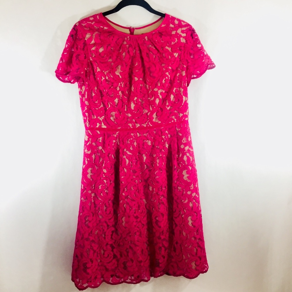 Adrianna Papell pink lace dress